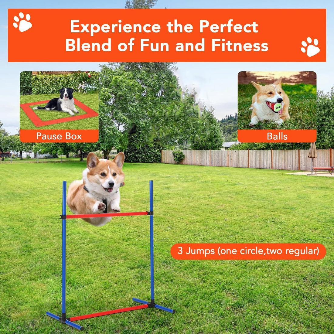 Garvee Dog Agile Course Backyard Set - Complete Obstacle Kit with Adjustable Hurdles & Tunnel - Durable ABS & Tear-Resistant Fabric - Portable Storage Bags - Indoor & Outdoor Training