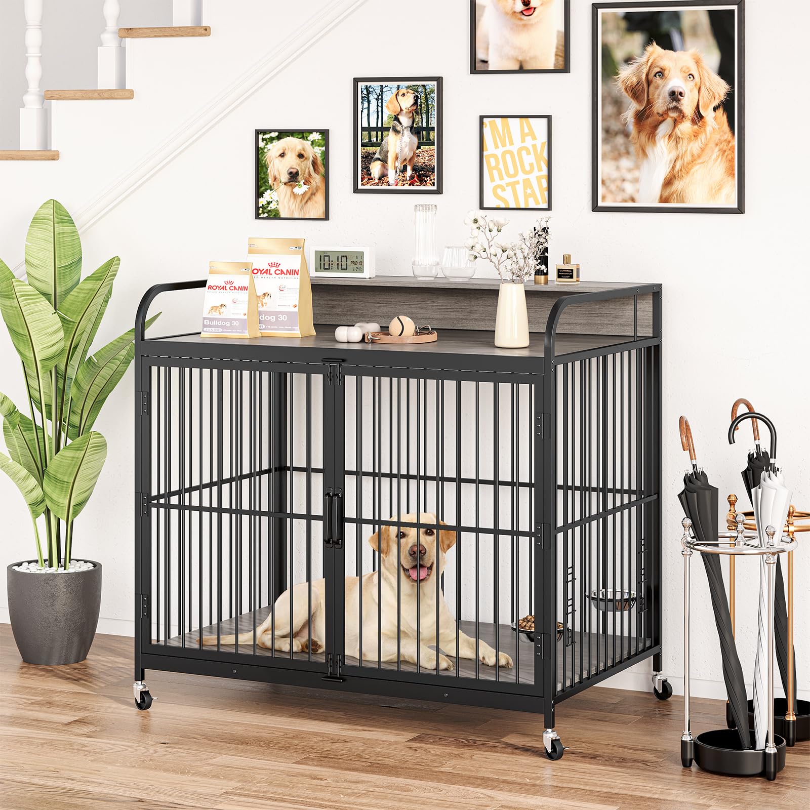 Ubuy Indoor Dog Cages For Large Dogs 48 Inch Large Dog Crate Dog