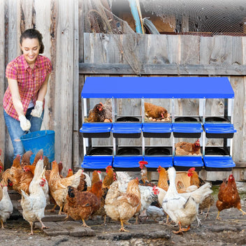 PPG_33CXHD77