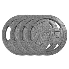 Garvee Cast Iron Weight Plates Set 1 in Bumper Plates for Home Gym Strength Training Weightlifting 2.5-25 LBS Black - Grey