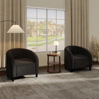 Garvee Accent Barrel Chair Boucle Club Chair with Sherpa Upholstery, Ergonomic Support, Durable Plastic Legs, Easy Assembly, for Living Room Bedroom, Dark Gray