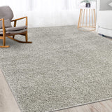 Garvee Solid Mist Grey 11x15 Shag Area Rugs, Large Living Room Area Rug Shaggy Area Rug Indoor Non Slip Fluffy Rug Large Carpet Modern Plush Area Rug for Nursery Bedroom Home Office Lobby - Mist Gray