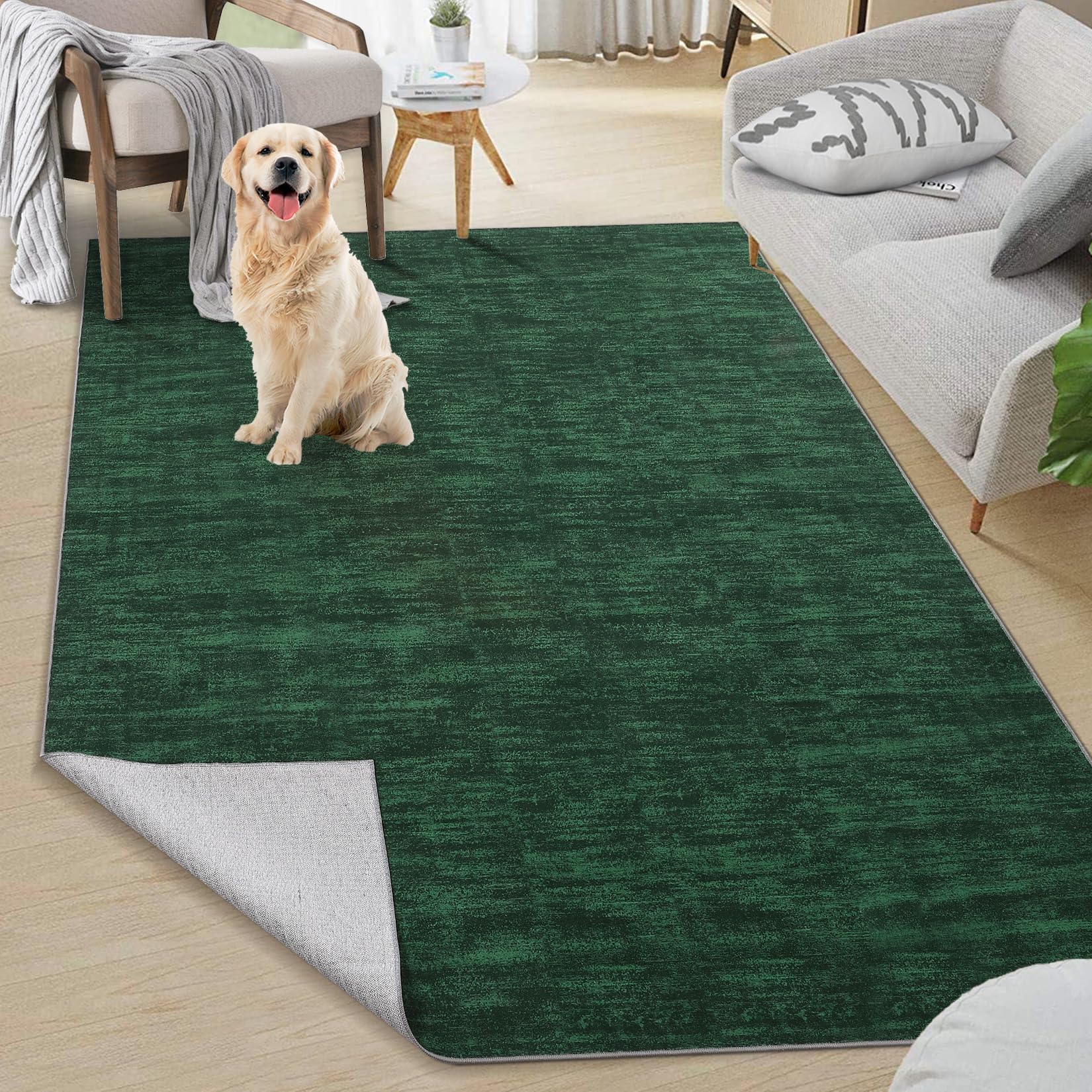PHO_15DVA621