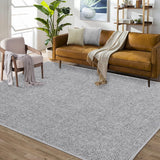 Garvee Area Rug 5x7 Modern Solid Textured Machine Washable Rug Contemporary Carpet Rug Foldable Stain Resistant Non-Slip Accent Rug for Living Room Farmhouse Dining Table Decor, Light Grey - Light Gray