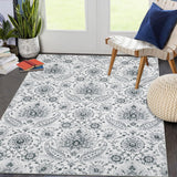 Garvee Area Rug 5x7 Washable Rug Vintage Paisley Print Rug Indoor Soft Low Pile Thin Rug Retro Distressed Accent Carpet Non Slip Non-Shedding Throw Rugs for Living Room Bedroom Dining Room Grey - Gray