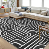 Garvee Washable 5x7 Area Rugs Soft Rainbow Non Slip Abstract Low Pile Carpet for Living Room Bedroom Dining Room Black - Black