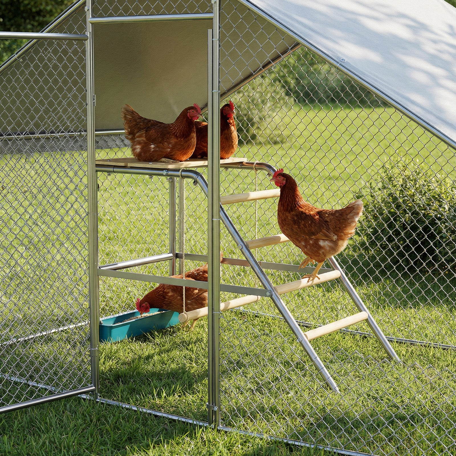 Garvee Homestead Chicken Coop Kit: Large Predator-Proof Poultry Run, Roll-Away Nesting Box, Climbing Gym, Cleaning spatula & Automatic Feeder - Comfort for 5-8 Hens