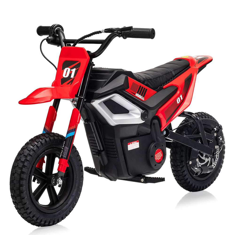 Garvee 24V Electric Dirt Bike 350W Motor 14MPH Speed Key Start Hand Brake 12" Fat Tires Dual Suspension Kids Outdoor Riding