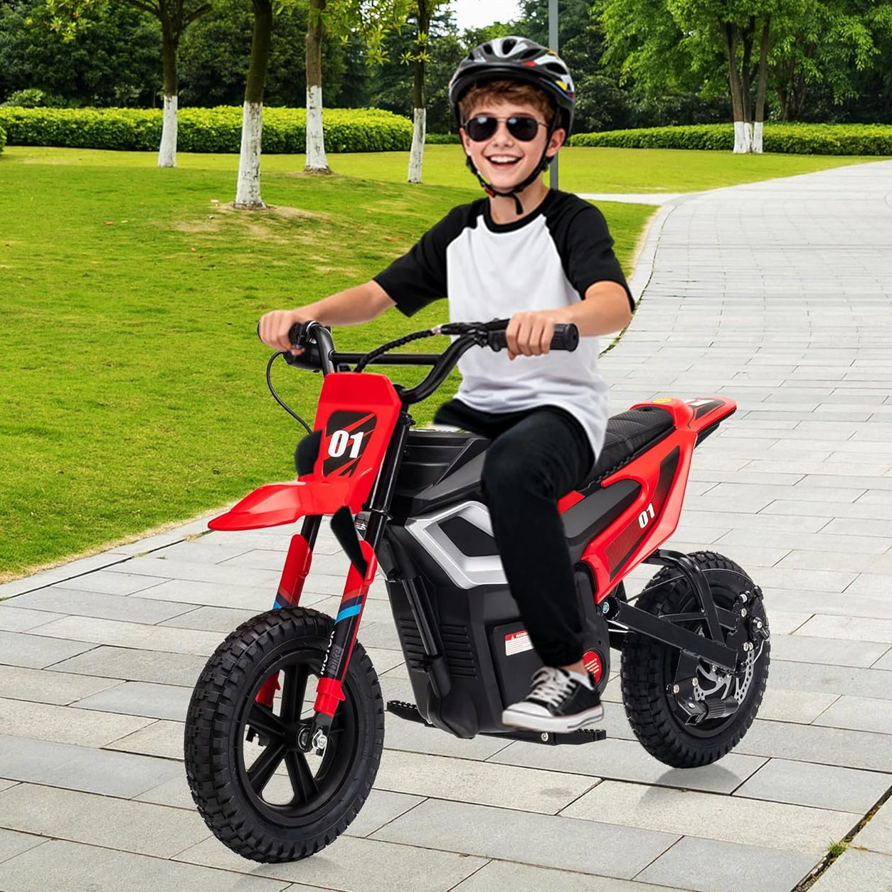 Garvee 24V Electric Dirt Bike 350W Motor 14MPH Speed Key Start Hand Brake 12" Fat Tires Dual Suspension Kids Outdoor Riding