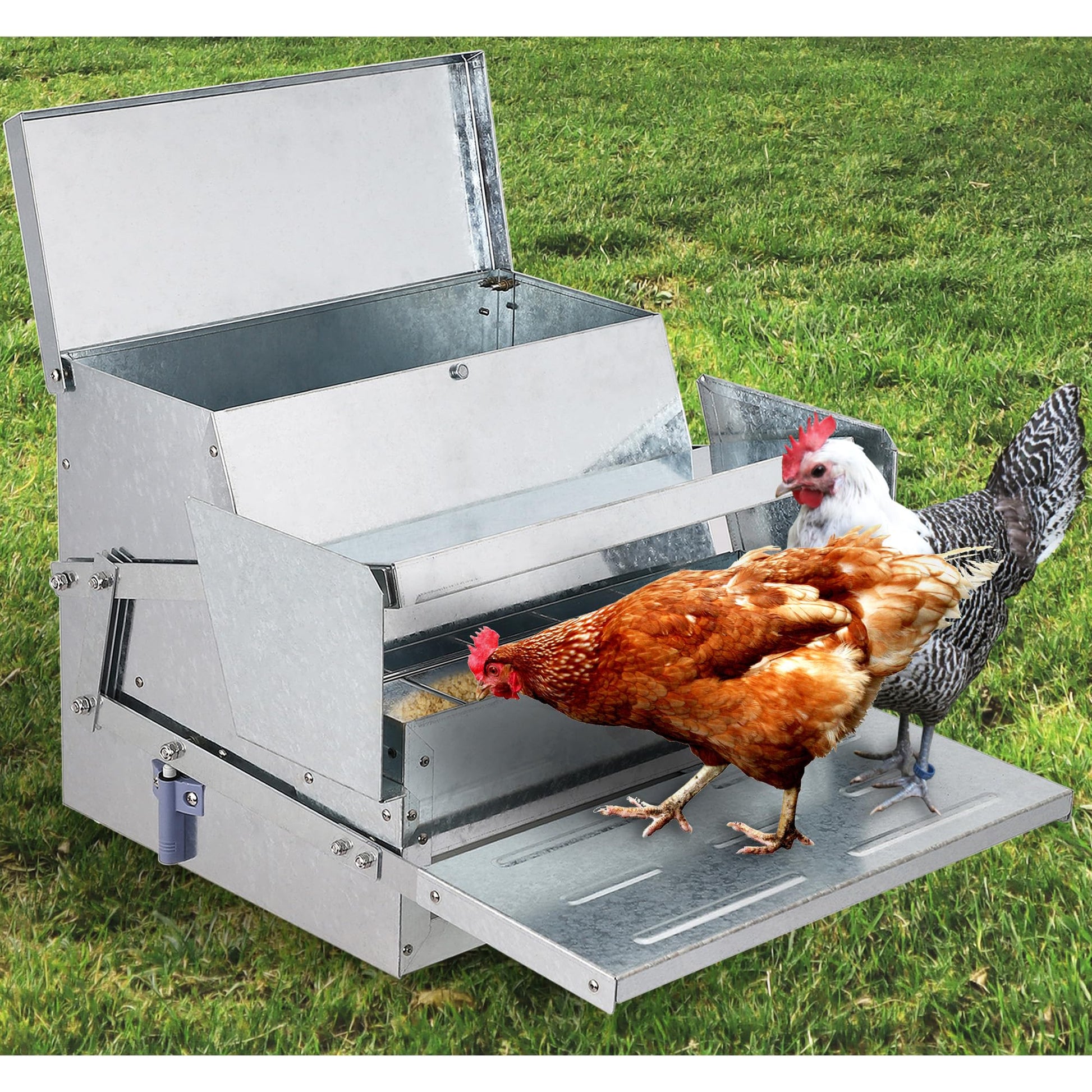 50lbs Auto Chicken Feeder, with Treadle & Side Buffer System