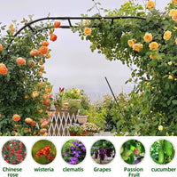 Garvee U-Shape Metal Cucumber Trellis for Raised Beds - Detachable Garden Arch for Climbing Vegetables like Tomato, Squash, Zucchini, Outdoor Use