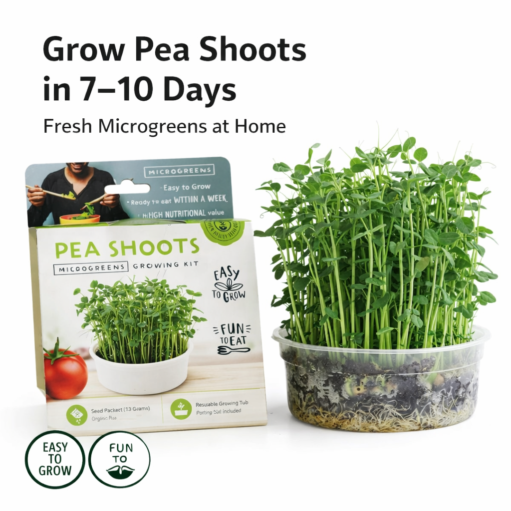 Garvee Fast-Growing Pea Shoots Microgreens Kit,Mini Microgreens Growing Kit,Grow Organic Greens From Kit to Kitchen in Days – Perfect for Indoor Salad, Sandwiches & Healthy Snacks