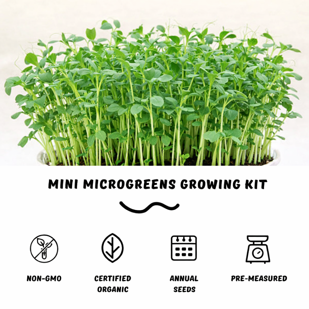 Garvee Fast-Growing Pea Shoots Microgreens Kit,Mini Microgreens Growing Kit,Grow Organic Greens From Kit to Kitchen in Days – Perfect for Indoor Salad, Sandwiches & Healthy Snacks