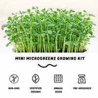 Garvee Fast-Growing Pea Shoots Microgreens Kit,Mini Microgreens Growing Kit,Grow Organic Greens From Kit to Kitchen in Days – Perfect for Indoor Salad, Sandwiches & Healthy Snacks