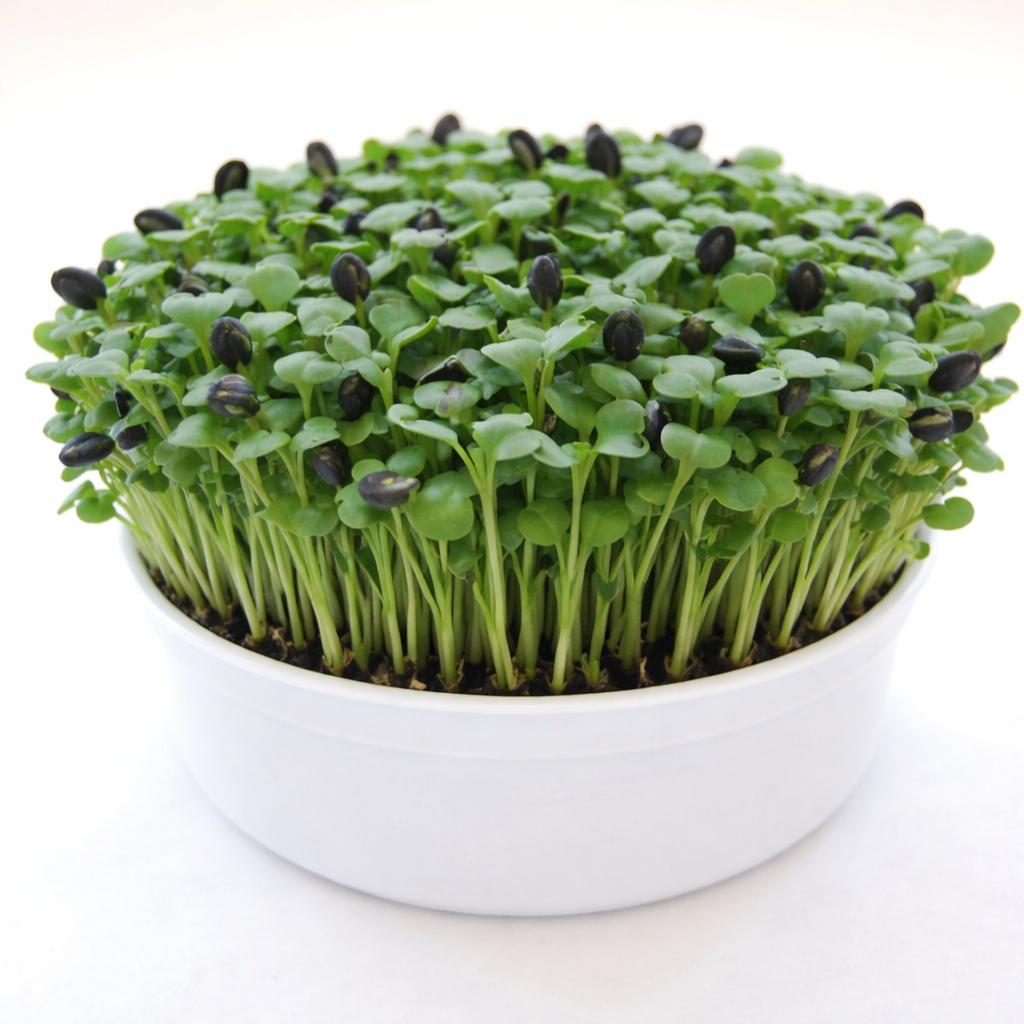 Garvee Sunflower Microgreens Growing Kit – Organic Non-GMO Seeds, Ready to Harvest in 12 Days, Easy Indoor Grow Starter Kit