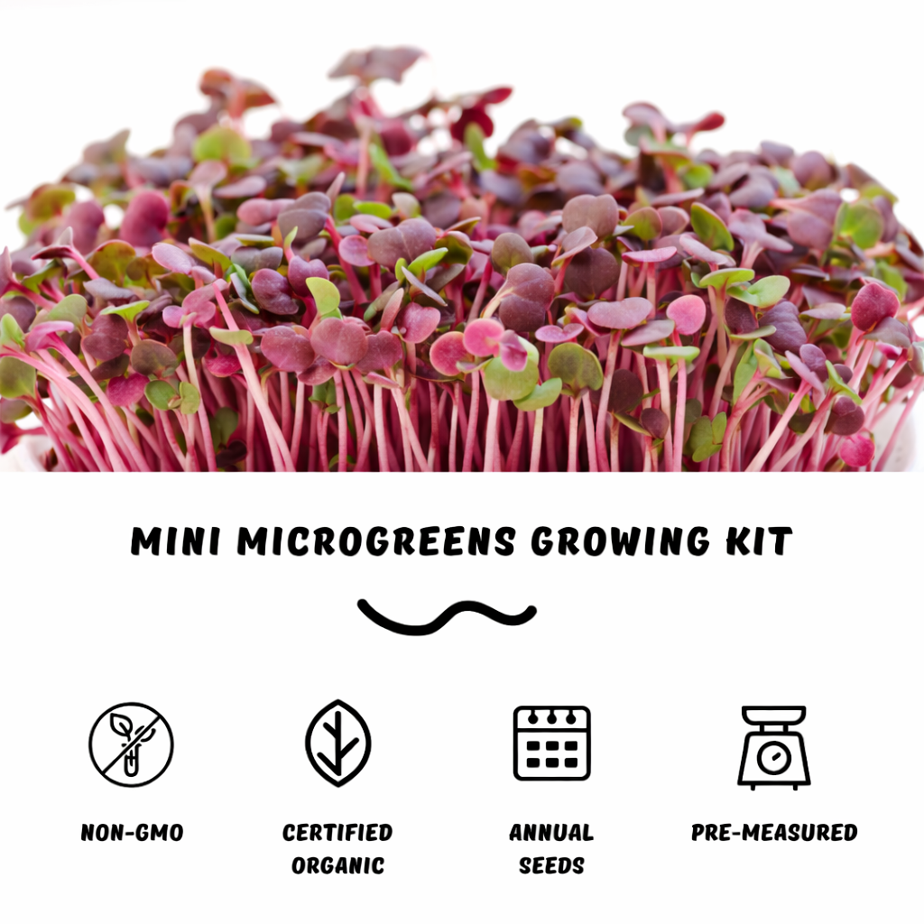 Garvee Mini Radish Microgreens Growing Kit – Indoor Organic Sprouting Set, Ready to Harvest in 5-7 Days, Easy Grow Starter Kit for Home, Kitchen & Gifts