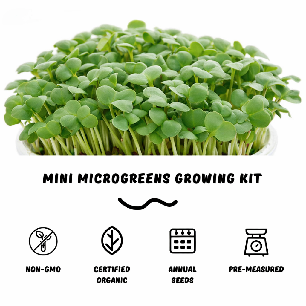 Garvee Mini Mustard Microgreens Growing Kit – Indoor Seed Starter Set with Reusable Grow Tray, Organic Seeds & Coco Soil, Ready to Harvest in 7 Days