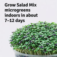 Garvee Mini Microgreens Growing Kit – Salad Mix Sprouting Seeds with Reusable Growing Tray & Coco Coir, Easy Indoor Microgreen Garden, Ready to Harvest in 7–12 Days
