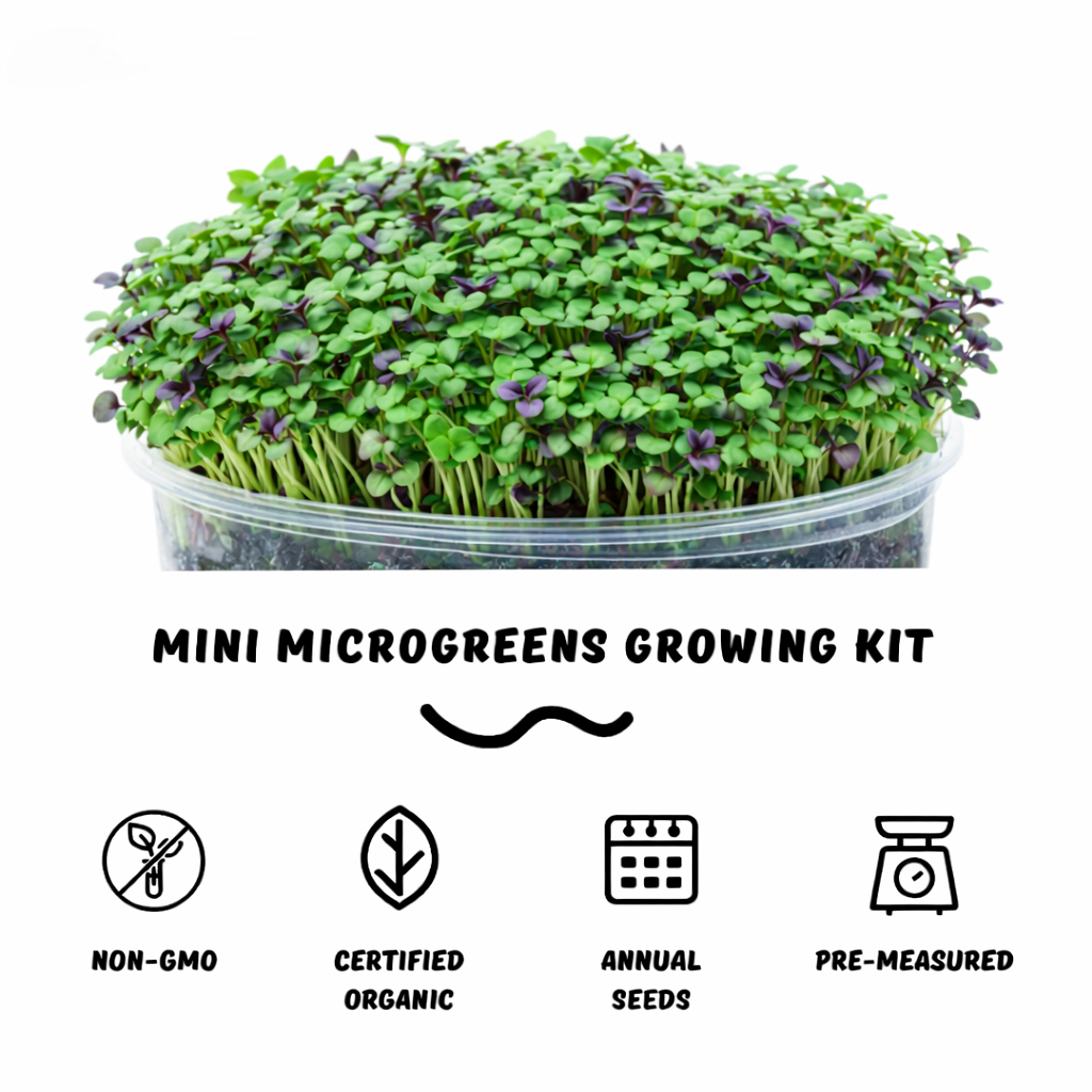 Garvee Mini Microgreens Growing Kit – Salad Mix Sprouting Seeds with Reusable Growing Tray & Coco Coir, Easy Indoor Microgreen Garden, Ready to Harvest in 7–12 Days