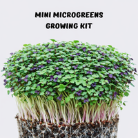 Garvee Mini Microgreens Growing Kit – Salad Mix Sprouting Seeds with Reusable Growing Tray & Coco Coir, Easy Indoor Microgreen Garden, Ready to Harvest in 7–12 Days