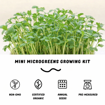 Garvee Mini Arugula Microgreens Growing Kit – Organic Non-GMO Seeds, Reusable Indoor Grow Bowl, Ready to Harvest in 7–10 Days