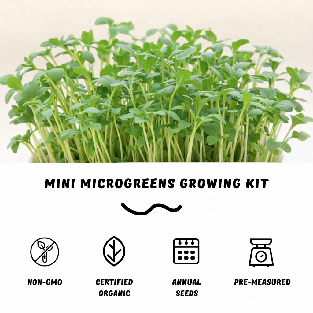 Garvee Mini Arugula Microgreens Growing Kit – Organic Non-GMO Seeds, Reusable Indoor Grow Bowl, Ready to Harvest in 7–10 Days
