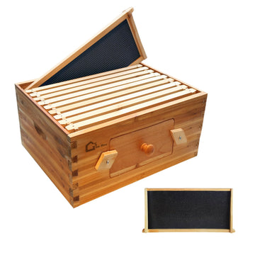 PPG_33BUKCDY