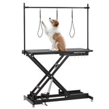 Garvee 47" Heavy Duty Electric Lift Grooming Table for Large Dogs/Cats, Black - Black
