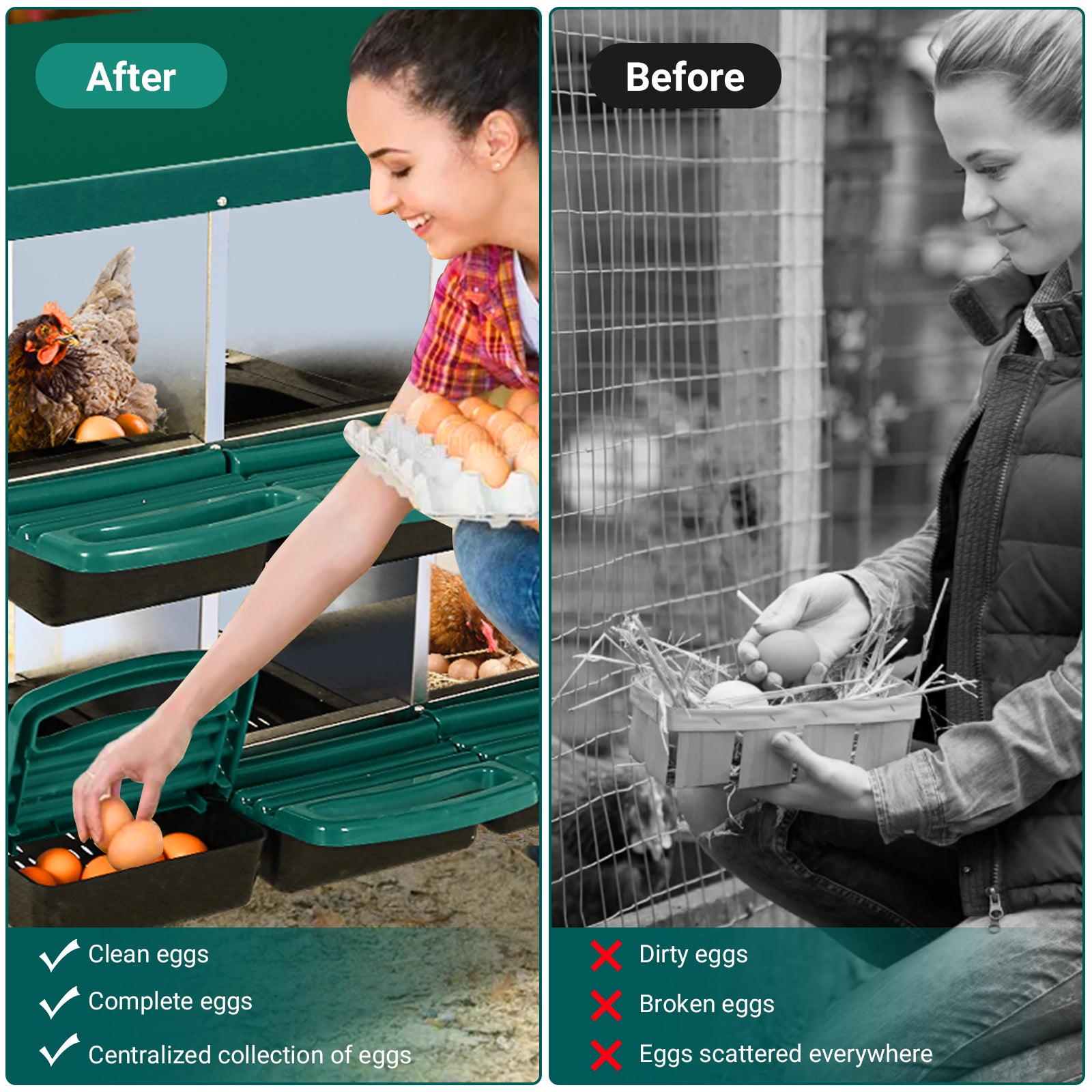 GARVEE 8-Compartment Roll-Away Chicken Nest Box - Green w/Lid Cover for Coop Laying Boxes, Nesting Boxes for Hens