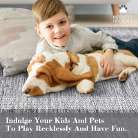 Garvee Bordered Grey 5x7 Modern Geometric Area Distressed Rug Washable Non Slip Floor Carpet Non Shedding Thin Rug, Soft Low Pile Rug, Contemporary Gray Rug for Dining Room, Living Room