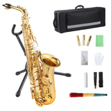 Garvee E Flat Alto Saxophone AS-100 with Accessories for Beginner Musicians Gold Lightweight Portable
