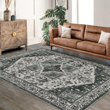 Garvee Persian Grey-Green 10x13 Area Rug Traditional Floor Cover Thin Print Indoor Non-Slip Machine Washable Rug - Gray-Green