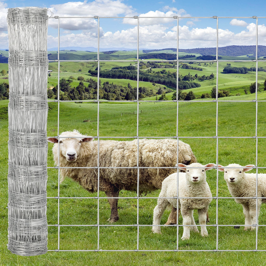 Metal wire fence with sheep and a lamb in a green pasture, used for livestock containment.