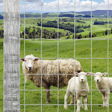Garvee Heavy Duty 9GA Cattle Fence 4x164 FT - Thick Galvanized Steel w/Reinforced Joints for Livestock Farm Horse Protection