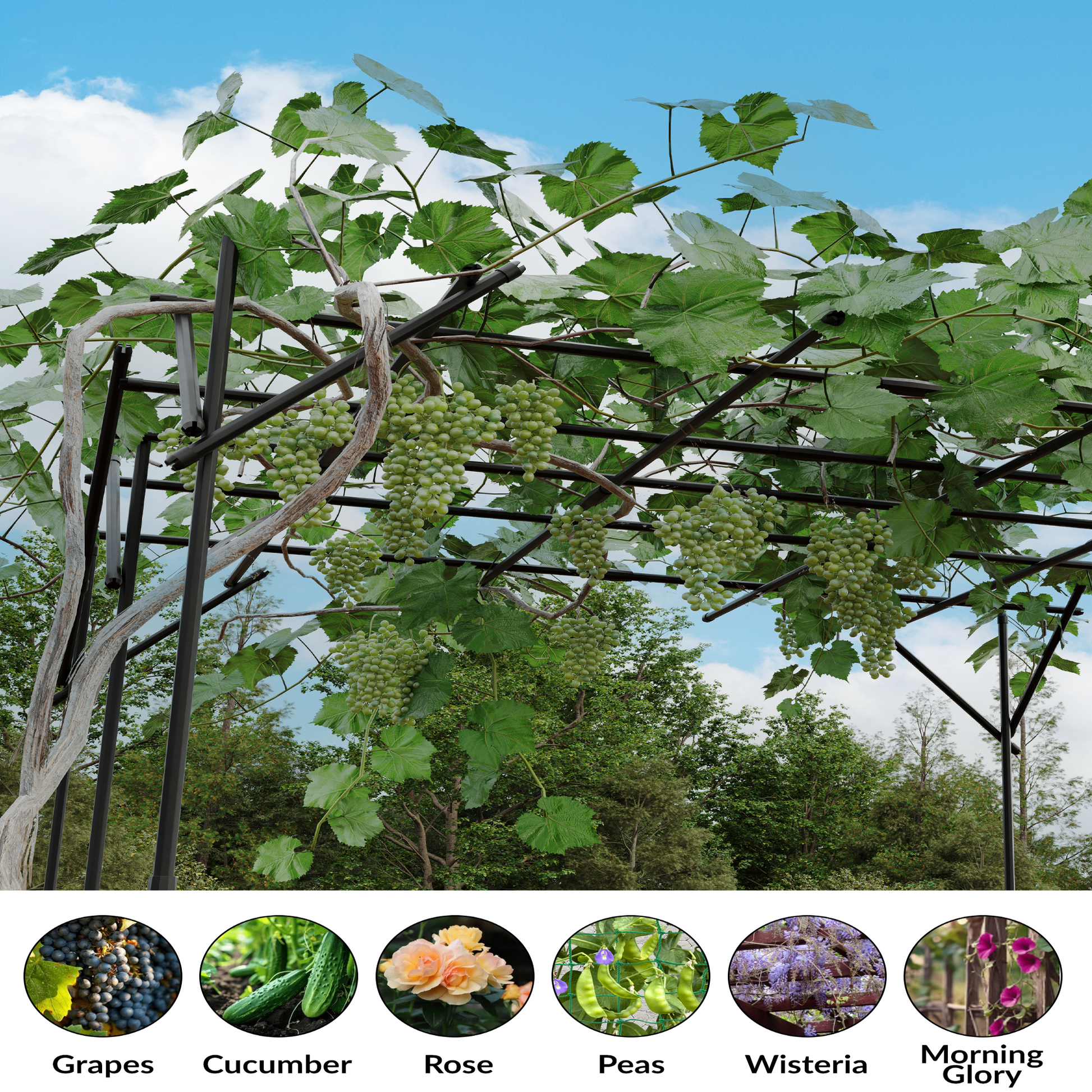 Garvee Cucumber Trellis for Raised Bed, U-Shape Garden Trellis for Climbing Plants Outdoor, Metal Arch Vegetables Trellis, Detachable Cucumber Trellis Support for Tomato,Squash,Zucchini