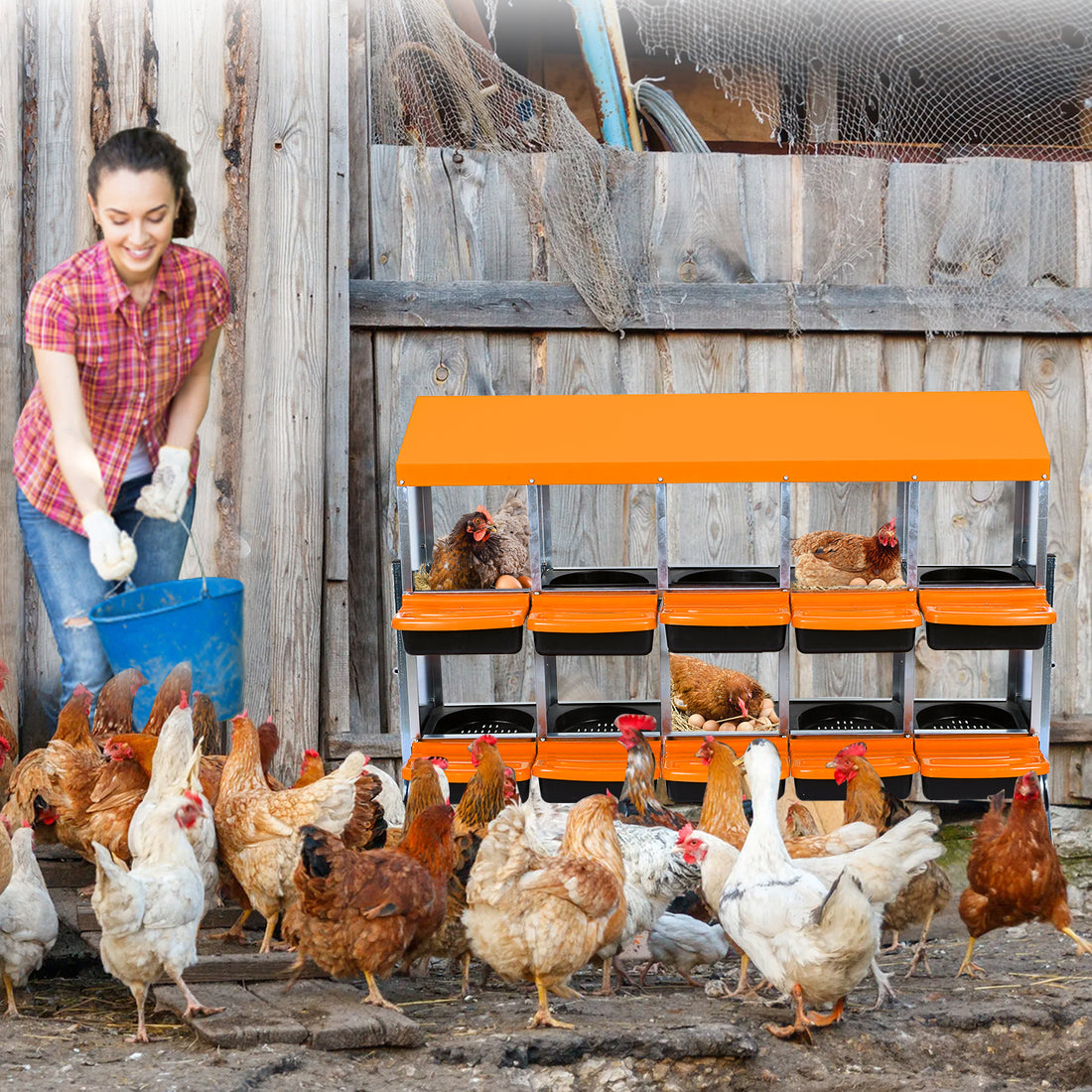 Garvee Chicken Nesting Box 10-Hole Roll Away Egg Laying Box with Lid, Heavy-Duty Galvanized Steel, Rustproof, Orange, with Bracket Legs