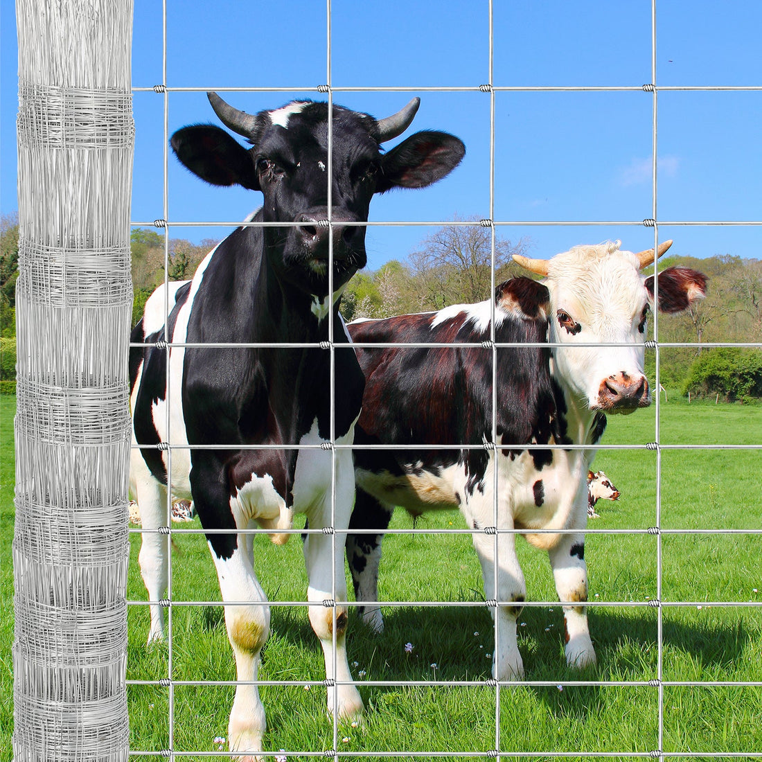 Garvee Heavy Duty 9GA Cattle Fence 4x164 FT - Thick Galvanized Steel w/Reinforced Joints for Livestock Farm Horse Protection