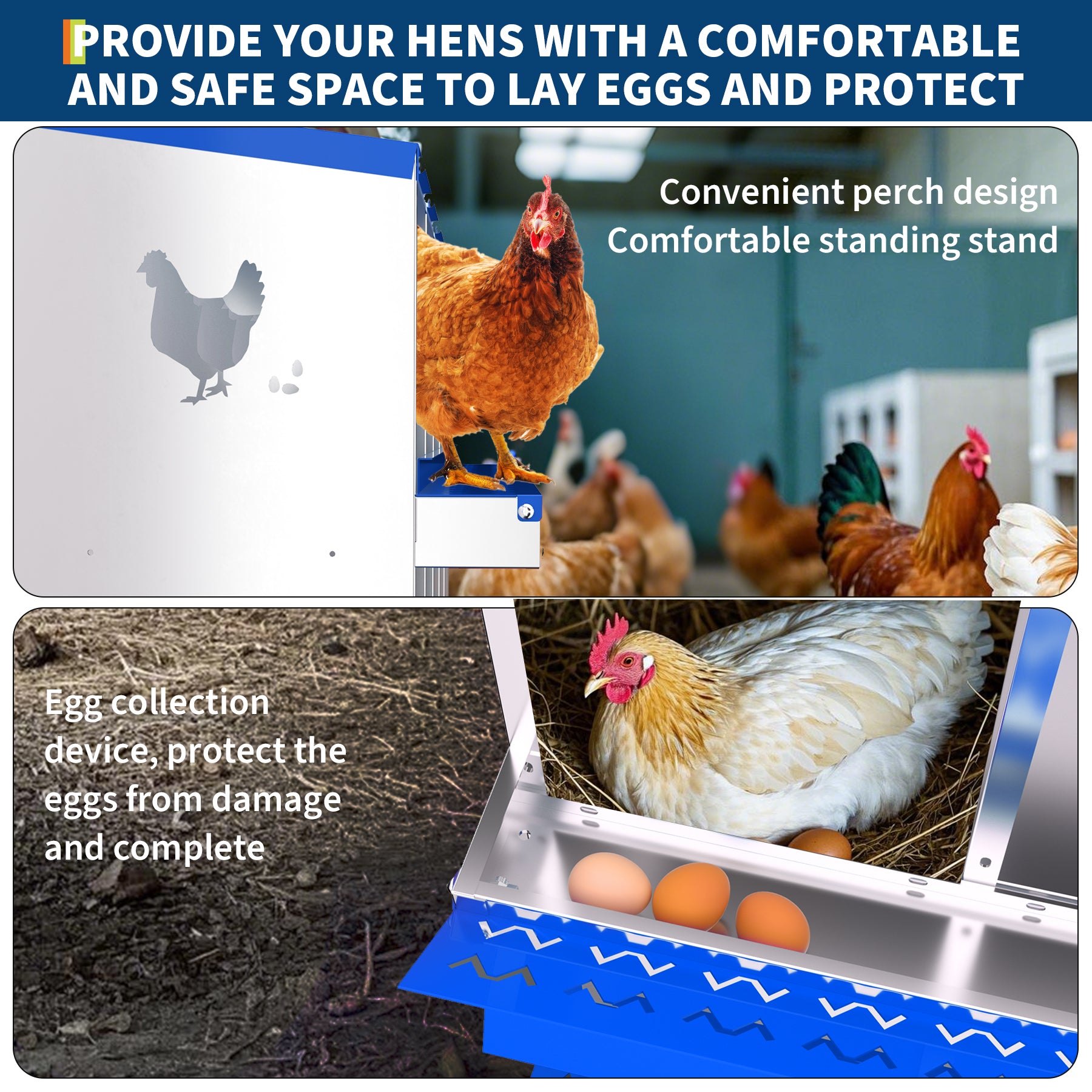Garvee 6-Hole Bracket Legs Chicken Nesting Box Galvanized Steel Rustproof Automatic Egg Collection Ventilated Easy Install Wall or Freestanding for Chicken Coop Blue