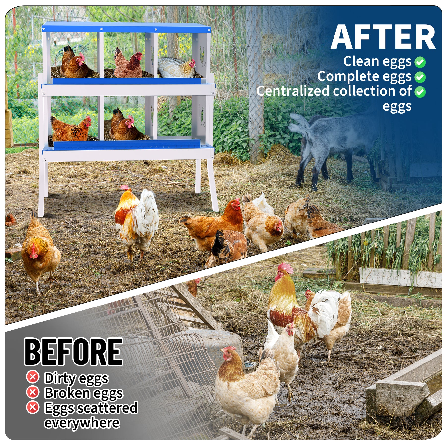 Garvee 6-Hole Bracket Legs Chicken Nesting Box Galvanized Steel Rustproof Automatic Egg Collection Ventilated Easy Install Wall or Freestanding for Chicken Coop Blue