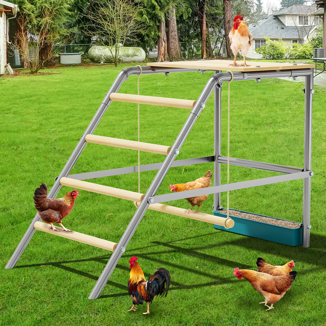 Garvee Chicken Perch with Swing, Sturdy Chicken Roosting Bars with Food Box for Backyard Farm, Chicken Perch for Coop, 37.4"L x 18.9"W x 28"H