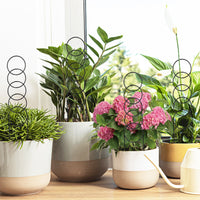 Garvee 17.3 Small Trellis for Potted Plants, 12 Pcs Heavy Duty Sturdy Metal Trellis for Climbing Plants, Rustproof Houseplant Support for Pothos Hoya Ivy Flower
