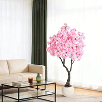 PHK_37HQ3UAM