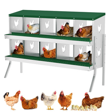 Garvee Nesting Boxes for Chickens, 10 Compartment Chicken Nesting Box with Elevated Metal Legs, Metal Chicken Laying Boxes with Perch, Secure Lid, Versatile Wall Mount or Free Standing for Hens, Green