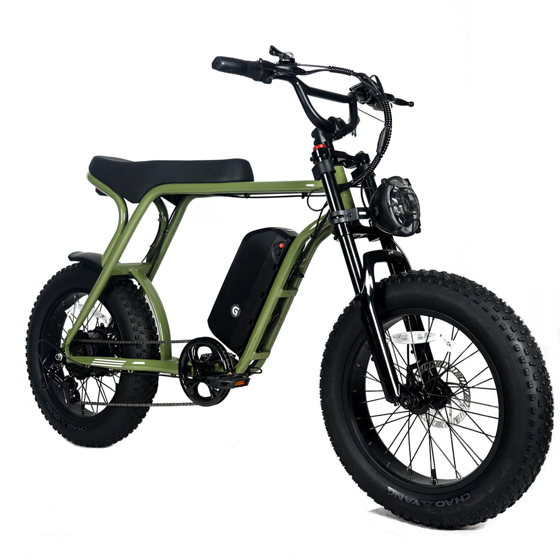 Garvee Electric Mountain Bike for Adults 20" x 4.0 Fat Tire, E-Bike 750W Motor 48V 15.6Ah Removable Battery, Max Speed 40MPH, Shi mano 7-Speed Adult Electric Bicycle for Off-Road Adventures, Green