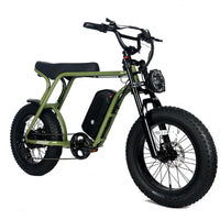 Garvee Electric Mountain Bike for Adults 20" x 4.0 Fat Tire, E-Bike 750W Motor 48V 15.6Ah Removable Battery, Max Speed 40MPH, Shi mano 7-Speed Adult Electric Bicycle for Off-Road Adventures, Green