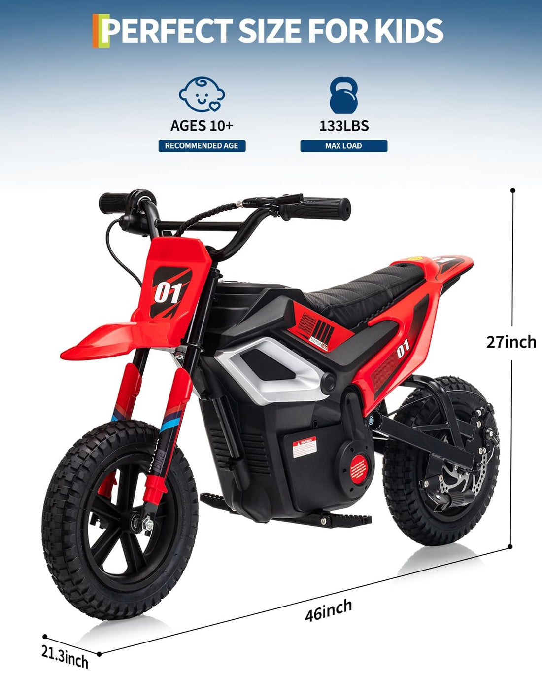 Garvee 24V Electric Dirt Bike 350W Motor 10MPH Speed Key Start Hand Brake 12" Fat Tires Dual Suspension Kids Outdoor Riding