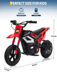 Garvee 24V Electric Dirt Bike 350W Motor 10MPH Speed Key Start Hand Brake 12" Fat Tires Dual Suspension Kids Outdoor Riding