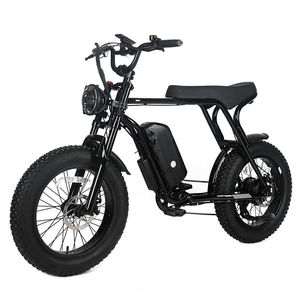 Garvee Electric Mountain Bike for Adults | 20" x 4.0 Fat Tires, 1000W Motor, 48V 20Ah Removable Battery, Max Speed 20MPH, Shi Mano 7-Speed for Off-Road Adventures