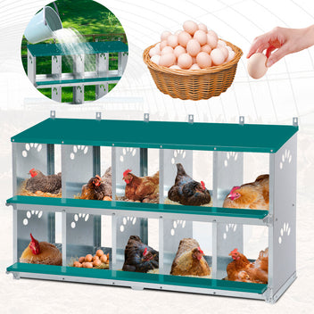 Garvee 10-Compartment Metal Nesting Box – Heavy-Duty Roll Away Egg Design w/Perch & Cover for Poultry Wall/Floor Mount, Green