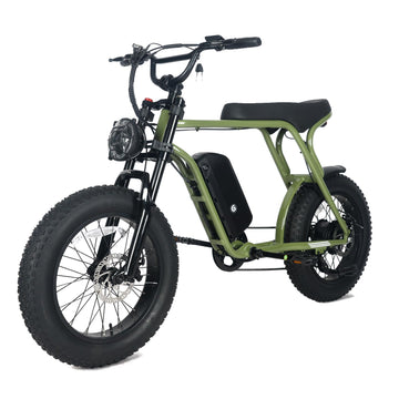 Garvee Electric Mountain Bike for Adults 20" x 4.0 Fat Tire, E-Bike 750W Motor 48V 15.6Ah Removable Battery, Max Speed 40MPH, Shi mano 7-Speed Adult Electric Bicycle for Off-Road Adventures, Green